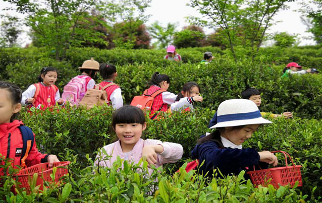 1559025741113074.png 图片6.png