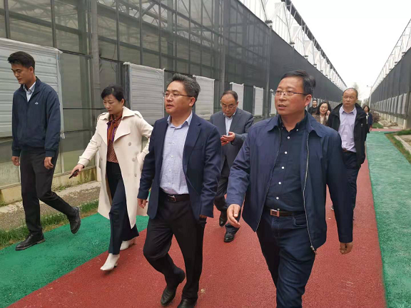 市文旅集团董事长王叙宇一行赴彭泽县调查调研