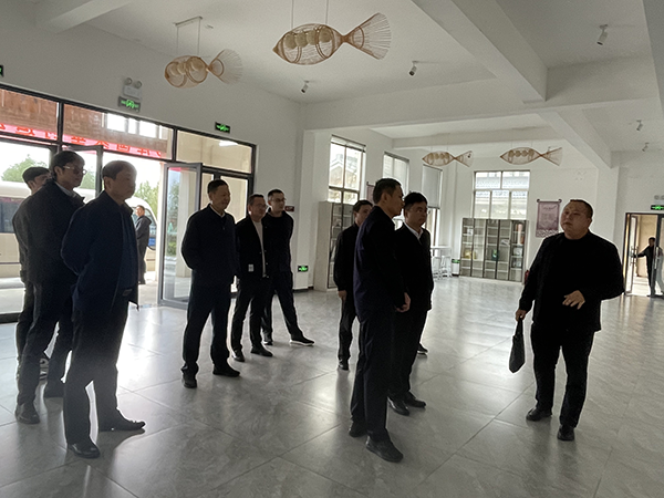 市国控集团总经理项飞一行到彭泽县调查调研